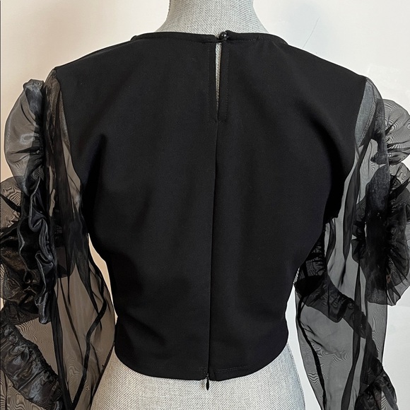 NWOT Elegant Black Fitted Stretch Sheer Rosette Sleeve Top, Size 40/8/M - Picture 7 of 12
